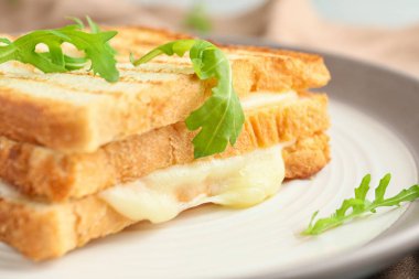 Tasty sandwiches with cheese on plate, closeup