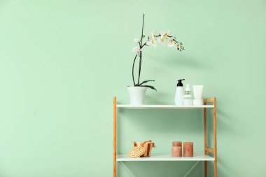 Raf ünitesi ile dekor renk duvarının yakınında