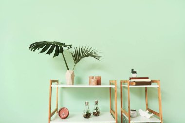 Raf ünitesi ile dekor renk duvarının yakınında