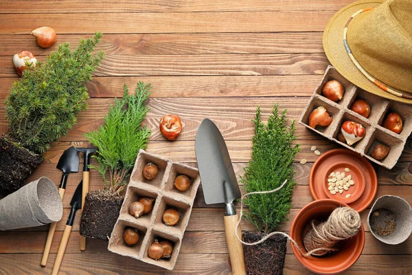 Set of gardening supplies with plants on wooden background — Stock Photo, Image
