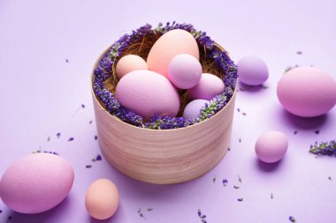 Renkli arka planda güzel Paskalya yumurtaları ve çiçekleri ile Kutu