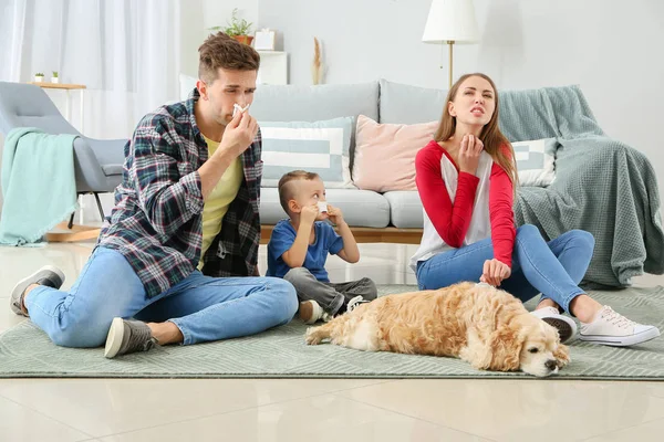 Familjer Som Lider Husdjursallergi Hemma — Stockfoto