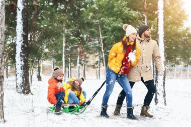 Mutlu aile kış günü parkta kızakla kayıyor.