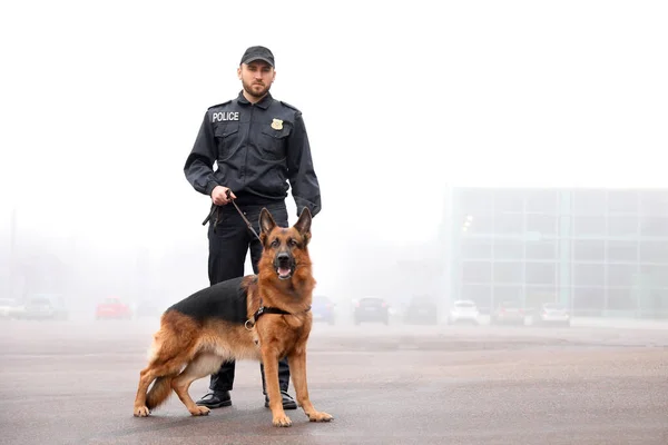 Male Police Officer Dog Patrolling City Street — Stock Photo, Image