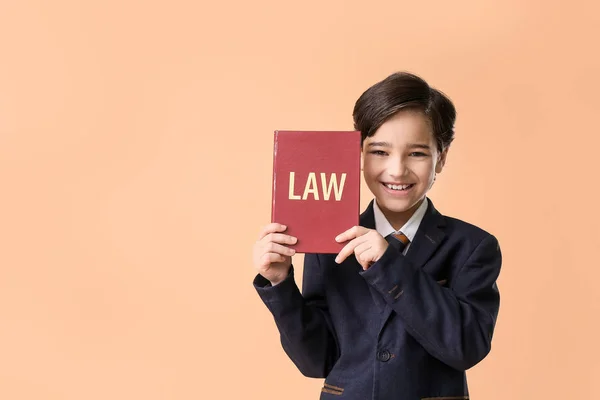 Petit Avocat Avec Livre Sur Fond Couleur — Photo