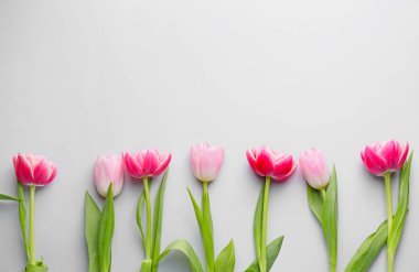 Beyaz arka planda çok güzel çiçekler