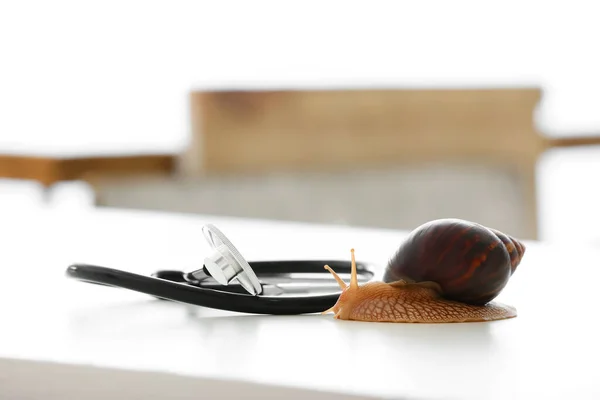 Achatina snail and stethoscope on table in vet clinic — Stock Image Achatina Snail Stethoscope Table Vet Clinic Royalty Free Stock Images
