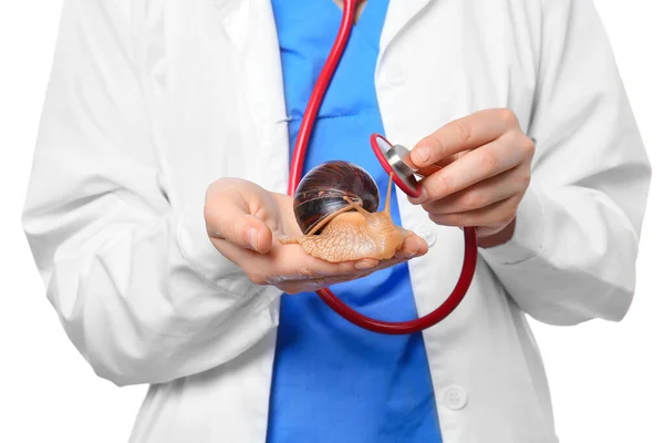 Veterinarian with Achatina snail on white background — Stock Image Veterinarian Achatina Snail White Background Stock Image