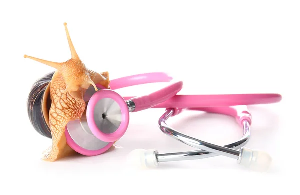 Achatina snail and stethoscope on white background — Stock Image Achatina Snail Stethoscope White Background Royalty Free Stock Images