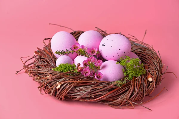 Nest Met Mooie Paaseieren Kleur Achtergrond — Stockfoto