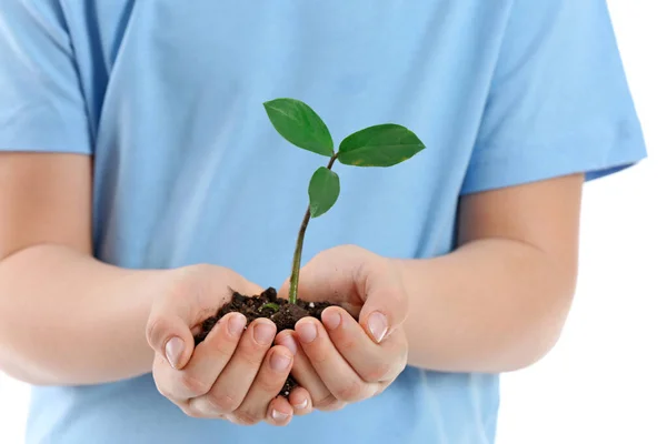 Klein Kind Met Grond Plant Witte Achtergrond Close Dag Van — Stockfoto