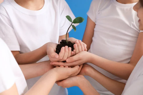 Little Children Plant Soil Color Background Earth Day Celebration — Stock Photo, Image