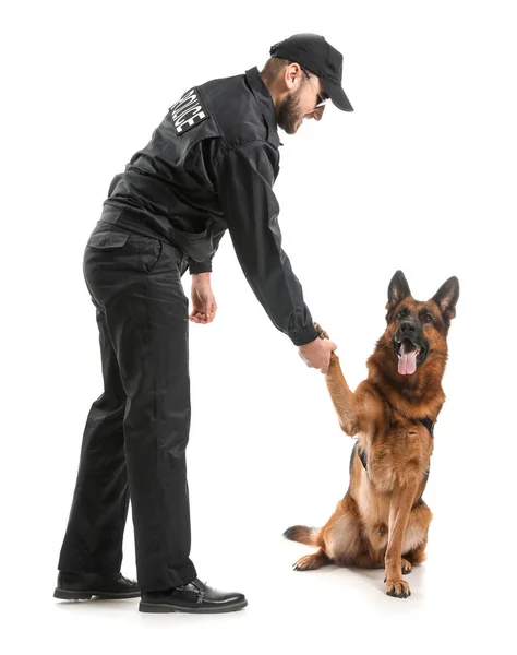 Male Police Officer Dog White Background Royalty Free Stock Images