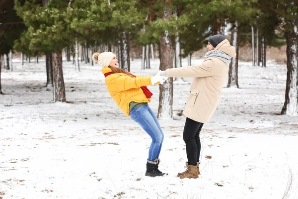 Feliz Pareja Joven Bailando Parque Día Invierno —  Fotos de Stock