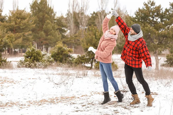 Glada Unga Par Dansar Parken Vinterdagen — Stockfoto