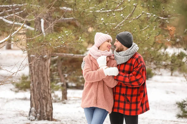 Jovem Casal Feliz Parque Dia Inverno — Fotografia de Stock