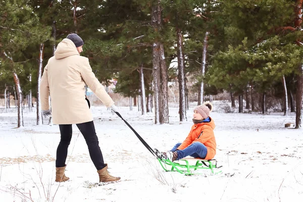 Father Little Son Sledging Park Winter Day — Stock Photo, Image