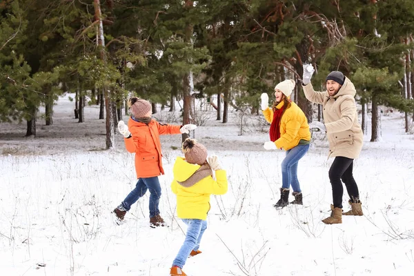 冬日快乐的一家人在公园打雪球 — 图库照片