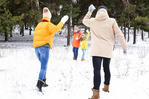 冬日快乐的一家人在公园打雪球 — 图库照片