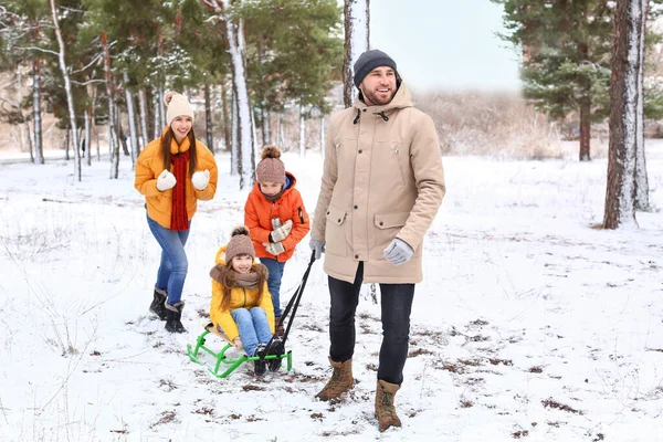 冬日快乐的一家人在公园里打滑 — 图库照片