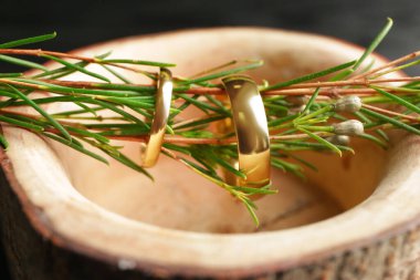 Dalları ve güzel alyansları olan bir kutu, yakın plan.