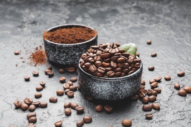 Kahve çekirdekli kaseler ve gri arka planda pudra.