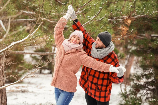 Feliz Jovem Casal Dançando Parque Dia Inverno — Fotografia de Stock