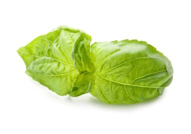 Yeşil taze fesleğen yaprakları üzerinde beyaz izole