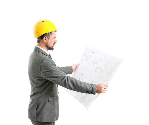 Männlicher Ingenieur Mit Zeichnung Auf Weißem Hintergrund — Stockfoto