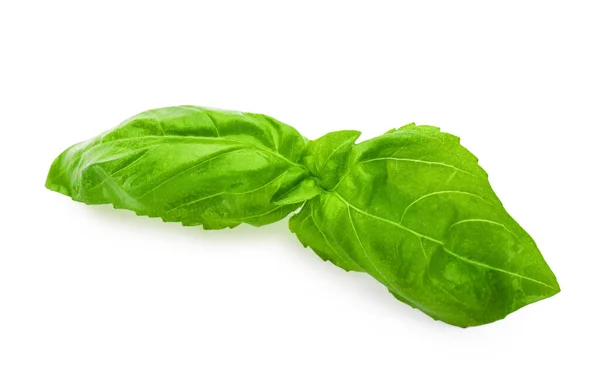 Fresh Green Basil Leaves Isolated White — Stock Photo, Image