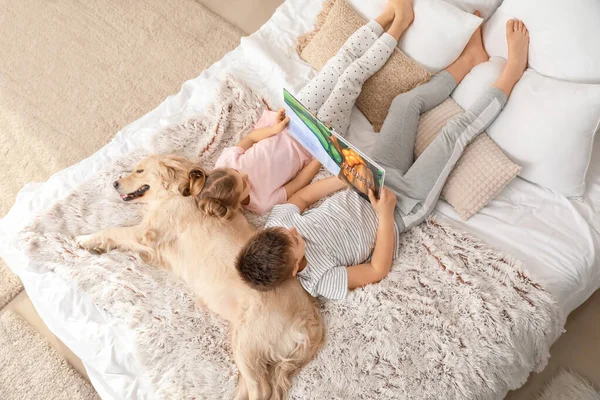 Små Barn Med Hund Läsa Bok Sovrum Hemma — Stockfoto