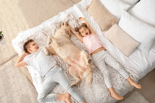 Happy Children Dog Lying Bed Home — Stock Photo, Image