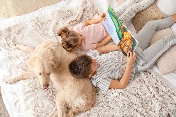 Kleine Kinderen Met Hond Leesboek Slaapkamer Thuis — Stockfoto