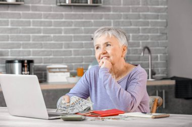 Üst düzey kadın evde para sayıyor.