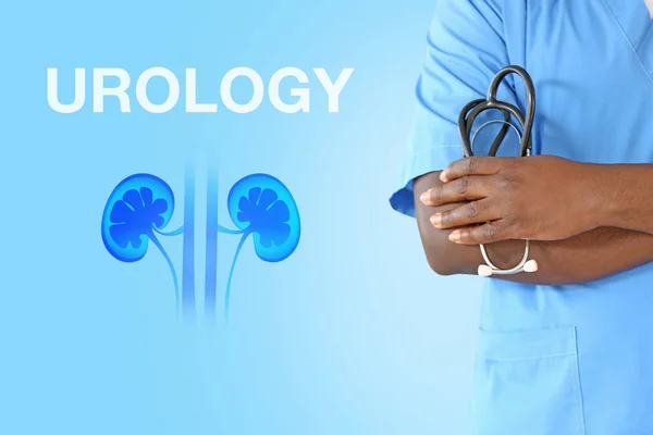 Médico Masculino Rins Desenhados Texto Urologia Sobre Fundo Cor — Fotografia de Stock