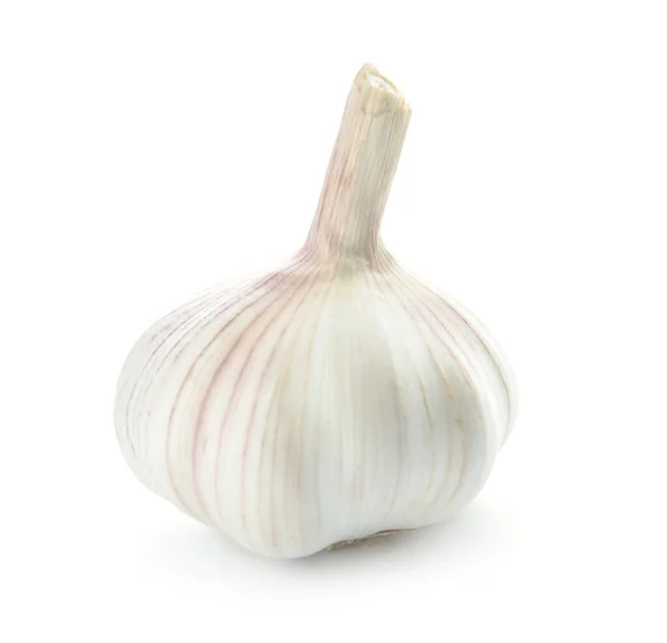 Fresh Garlic White Background — Stock Photo, Image