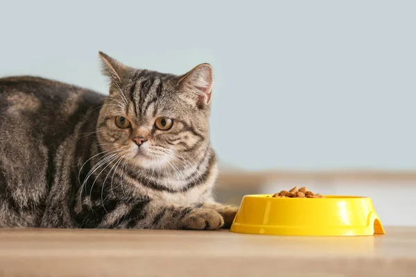 Roztomilá Kočka Blízkosti Mísy Jídlem Kuchyňském Stole — Stock fotografie