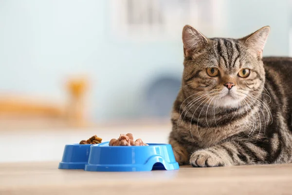 Leuke Kat Buurt Van Kom Met Eten Keukentafel — Stockfoto