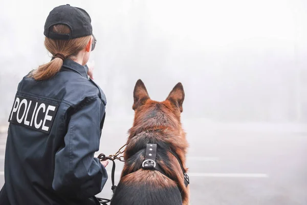 Жінка Поліцейський Собакою Яка Патрулює Міську Вулицю — стокове фото