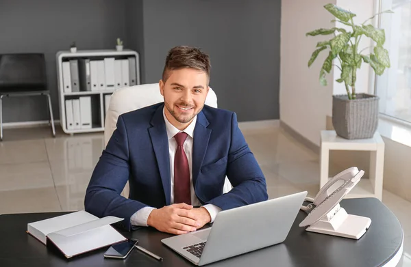 Handsome Businessman Working Office — Stock Photo, Image