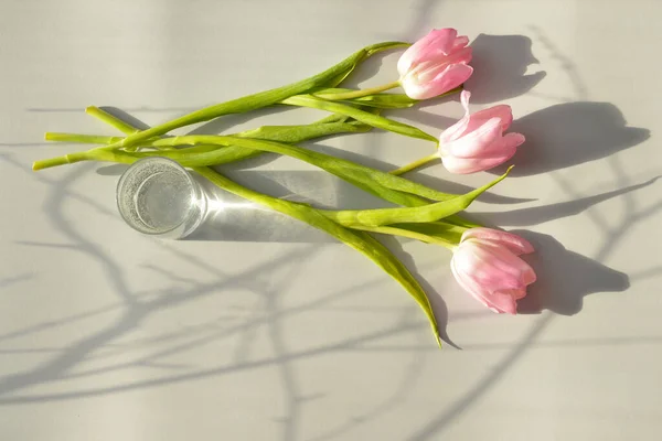 Szklanka Wody Tulipanami Jasnym Tle — Zdjęcie stockowe