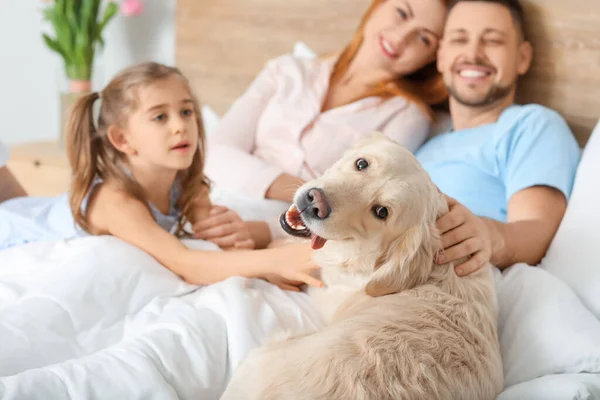Счастливая Семья Собакой Спальне Дома — стоковое фото