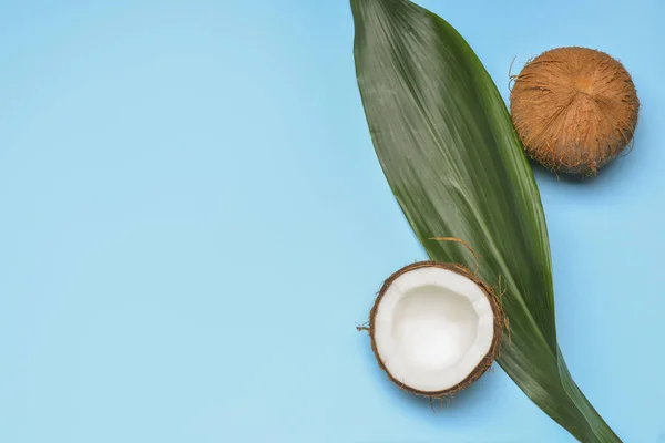 Chutné Kokosové Ořechy Tropické Listy Barevném Pozadí — Stock fotografie