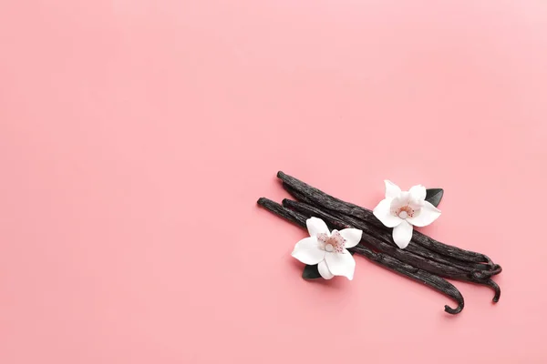 背景色で芳香族バニラ棒 — ストック写真