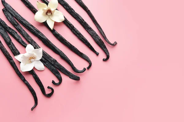 Aromatic vanilla sticks on color background