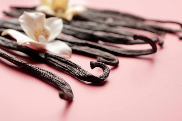 Aromatic Vanilla Sticks Color Background Closeup — Stock Photo, Image