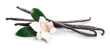 Aromatik vanilya beyaz arka plan üzerinde sopa