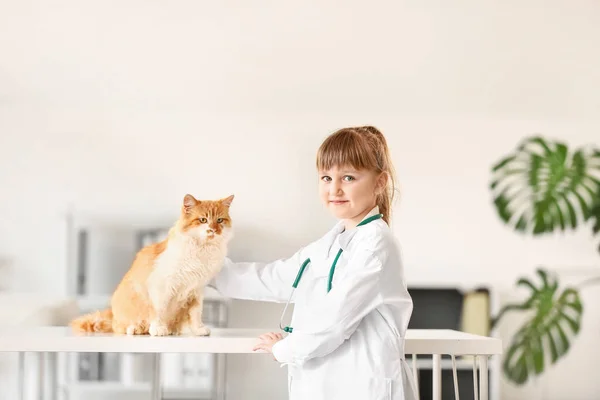 Little Veterinarian Examining Cute Cat Clinic — Stock Photo, Image