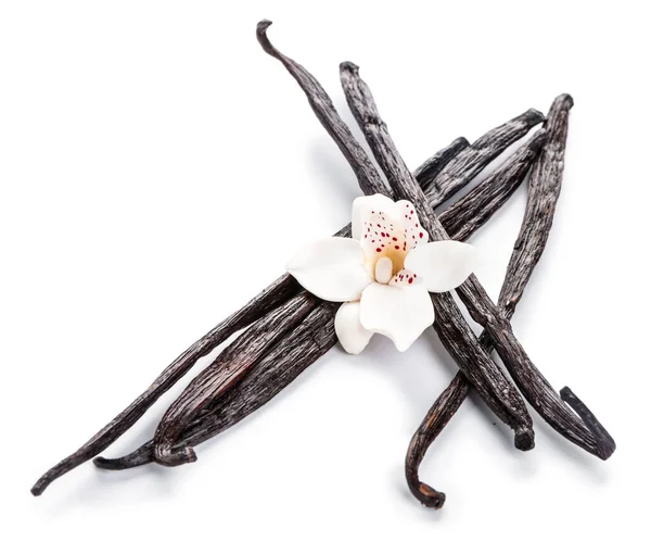 Aromatic Vanilla Sticks White Background — Stock Photo, Image