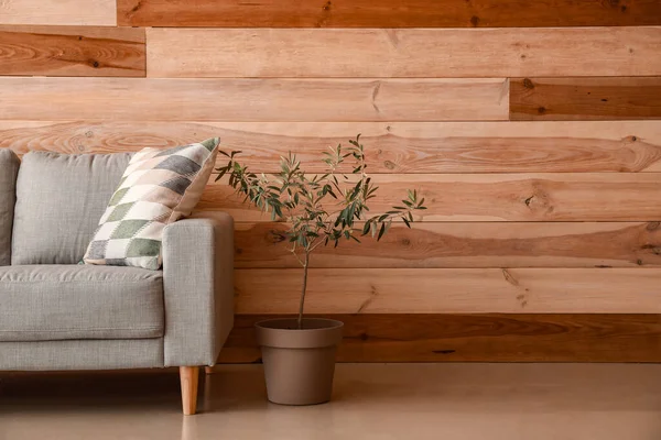 Comfortable Sofa Houseplant Wooden Wall — Stock Photo, Image